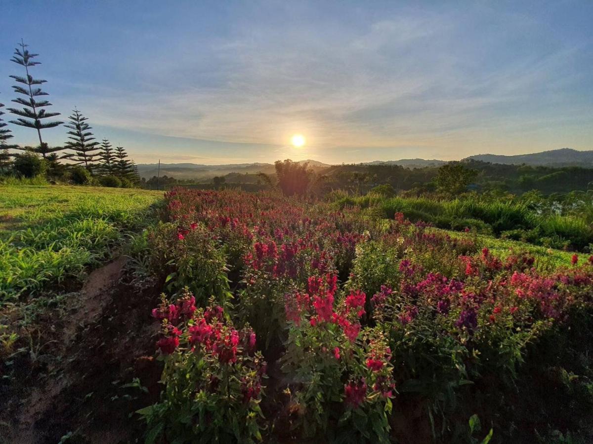 Phuyafahsai The Resort Khao Kho Dış mekan fotoğraf